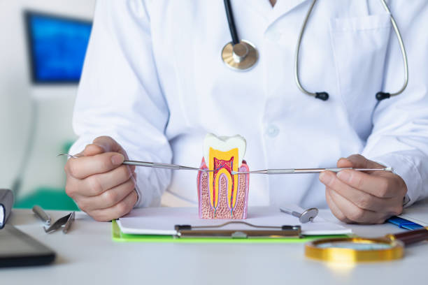 Best Emergency Dental Care for Abscessed Tooth in Sauk Vlage, IL